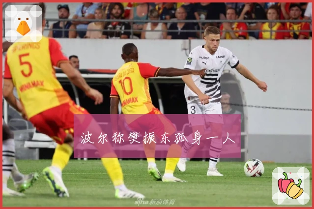 波尔称樊振东孤身一人