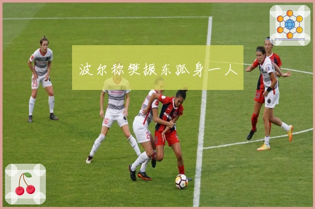 波尔称樊振东孤身一人